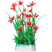 УЮТ Растение аквариумное Гемиантус с красными цветами, 24 см – интернет-магазин Ле’Муррр